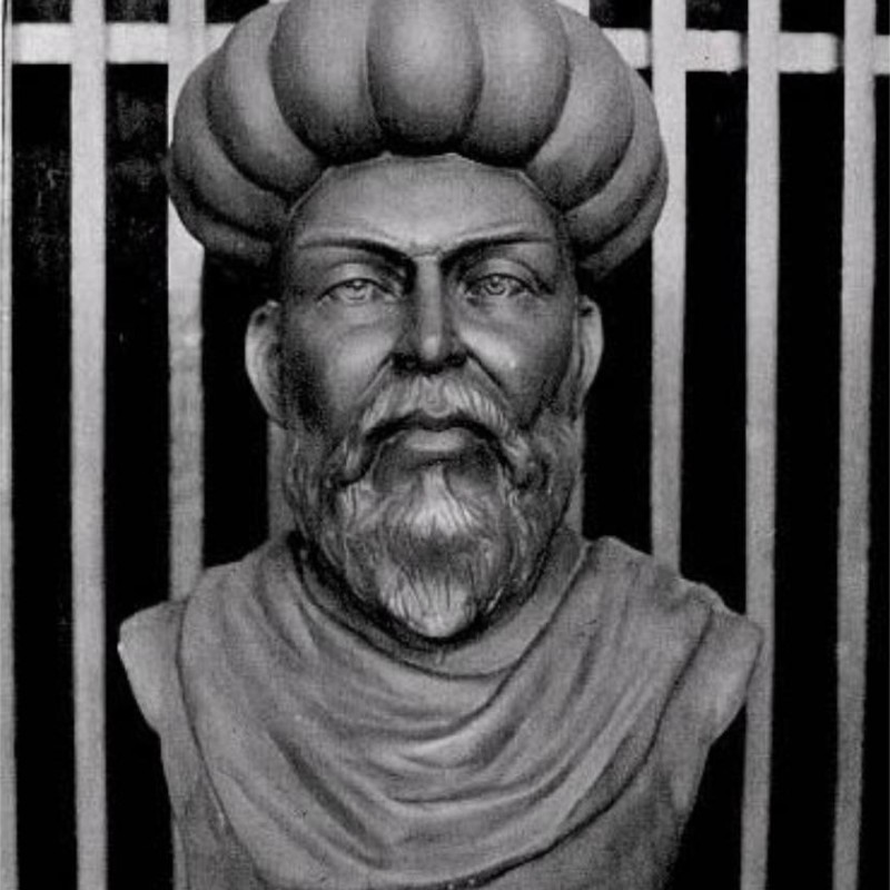 Ibn al-Nafīs