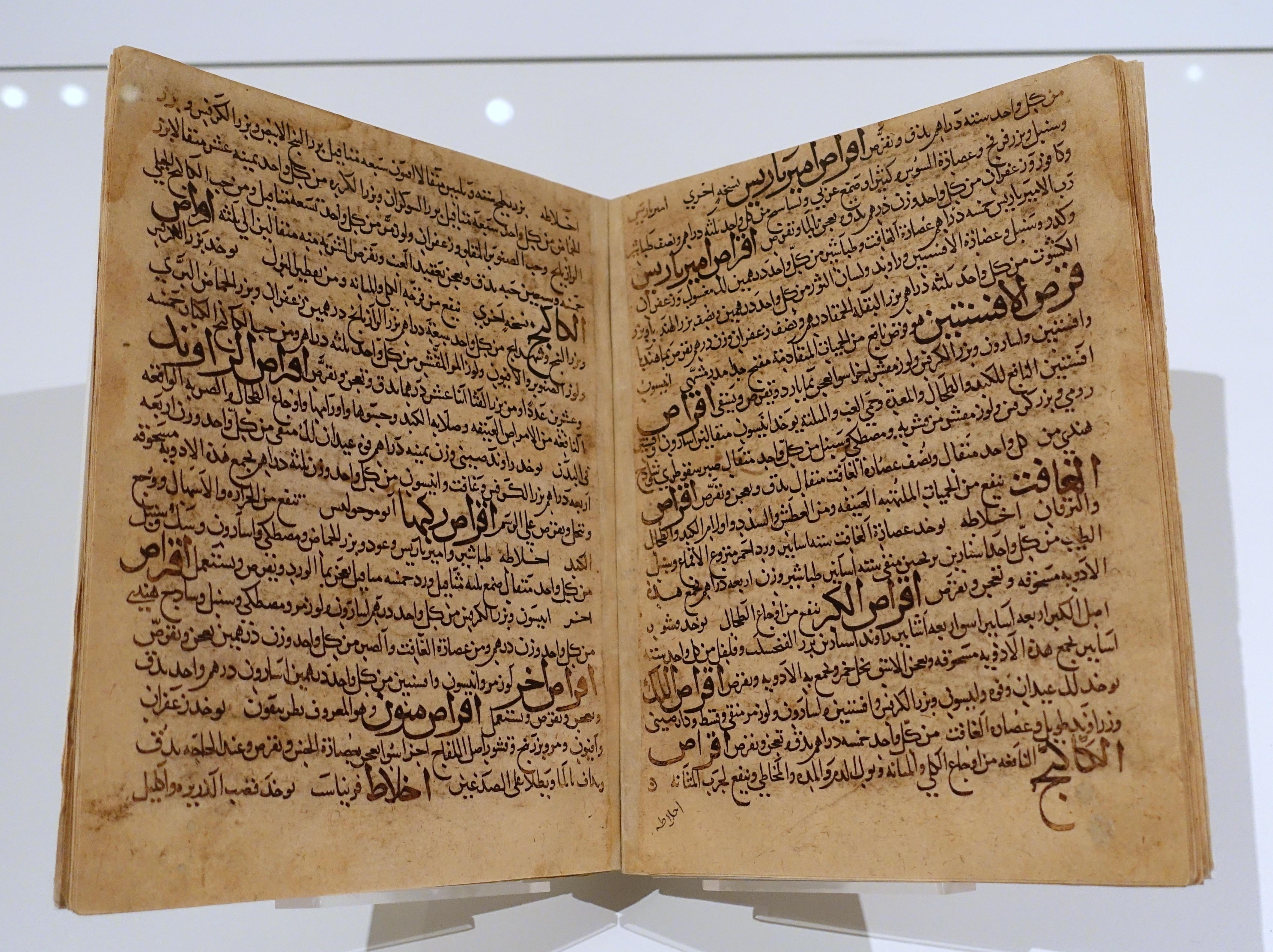 Ibn Sīnā - Avicenne