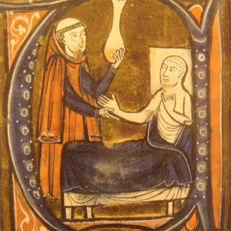 Abū Bakr al-Rāzī (Rhazès)