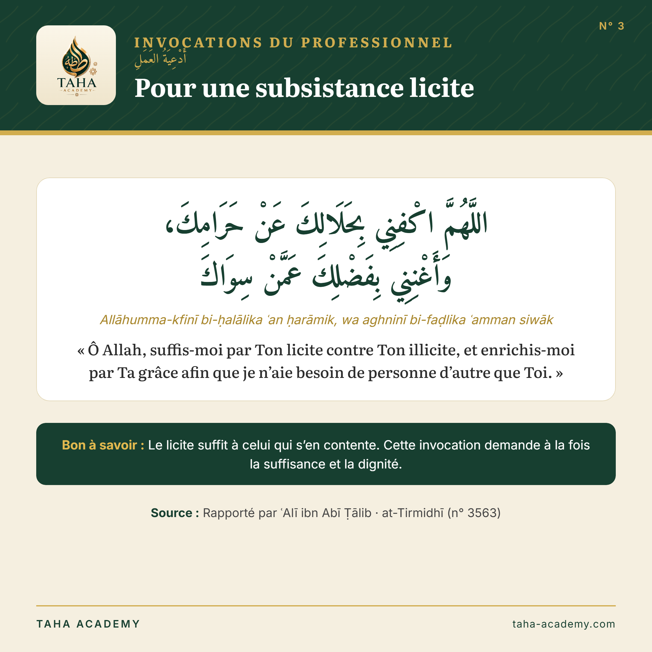 Invocations du professionnel n° 3 : Pour une subsistance licite